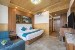 Super Deluxe Room - Image 4